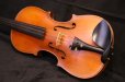 画像8: Ma工房 左利き用・バイオリン・ファインレベル２ピースバック Lefty Violin (8)