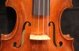 画像15: Ma工房 左利き用・バイオリン・ファインレベル２ピースバック Lefty Violin (15)