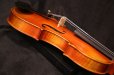 画像17: Ma工房 左利き用・バイオリン・ファインレベル２ピースバック Lefty Violin (17)
