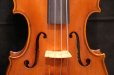 画像13: Ma工房 左利き用・バイオリン・ファインレベル２ピースバック Lefty Violin (13)