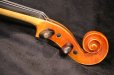 画像19: Ma工房 左利き用・バイオリン・ファインレベル２ピースバック Lefty Violin (19)