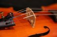 画像15: Ma工房 左利き用・バイオリン・ファインレベル２ピースバック Lefty Violin (15)