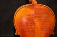 画像5: Ma工房 左利き用・バイオリン・ファインレベル２ピースバック Lefty Violin (5)