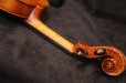 画像27: Ma工房 左利き用・バイオリン・ファインレベル２ピースバック Lefty Violin (27)
