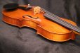 画像20: Ma工房 左利き用・バイオリン・ファインレベル２ピースバック Lefty Violin (20)