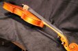 画像21: Ma工房 左利き用・バイオリン・ファインレベルワンピースバック Lefty Violin (21)
