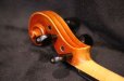 画像27: Ma工房 左利き用・バイオリン・ファインレベル２ピースバック Lefty Violin (27)