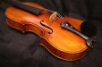 画像17: Ma工房 左利き用・バイオリン・ファインレベル２ピースバック Lefty Violin (17)