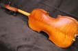 画像2: Ma工房 左利き用・バイオリン・ファインレベル２ピースバック Lefty Violin (2)