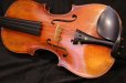 画像8: Ma工房 左利き用・バイオリン・ファインレベル２ピースバック Lefty Violin (8)