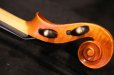画像28: Ma工房 左利き用・バイオリン・ファインレベルワンピースバック Lefty Violin (28)
