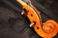 画像19: Ma工房 左利き用・バイオリン・ファインレベル２ピースバック Lefty Violin (19)