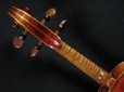 画像14: スコット・カオ マスターメイド ストラディバリ バイオリン Scott Cao Stradivari Vaiolin Soil  (14)