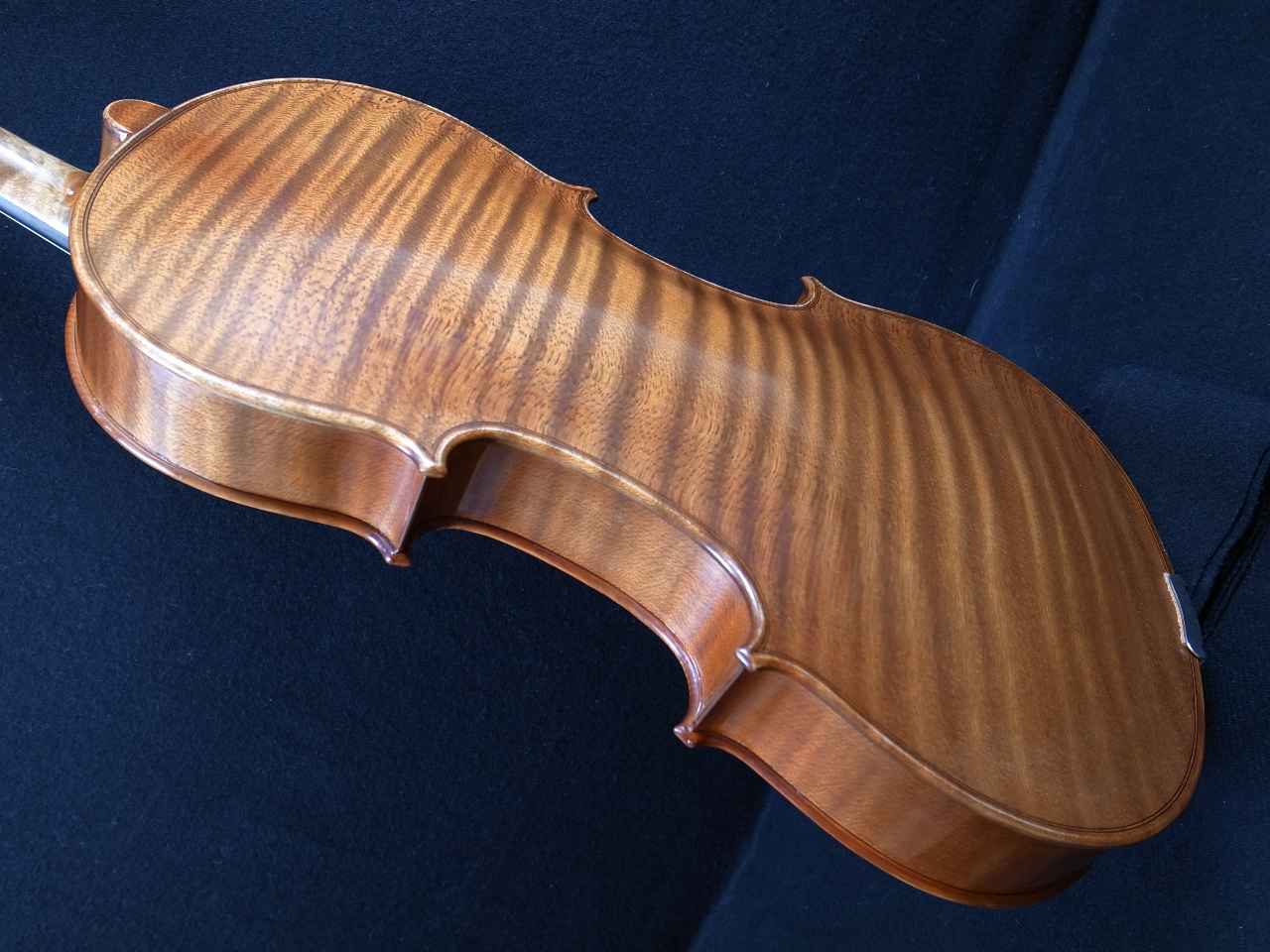 ForestViolin工房ビオラ16．5インチClassic300ワンピースバック【オータムバレー弦楽器】