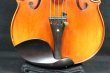 画像5: Ｍａ Ｚｈｉｂｉｎ工房５弦バイオリン