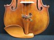画像6: Ma Zhibin工房 マスターメイド・バイオリン ストラディバリ「Dolphin」フィニッシュコピー