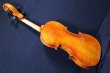 画像13: クラウス・ヘフラー工房 ＃５００ バイオリン ドイツ製  Klaus Heffler #500 Violin Germany