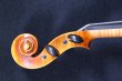 画像11: クラウス・ヘフラー工房 ＃５００ バイオリン ドイツ製  Klaus Heffler #500 Violin Germany