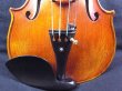 画像6: Ma Zhibin工房スーパーファインレベル・ストラディバリ・バイオリン・ワンピースバック