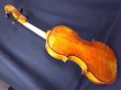 画像12: カローラヘンデル工房 ガルネリモデルバイオリン ドイツ製  Carola Hendel violin Gurneri Model #201a
