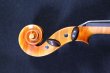 画像10: クラウス・ヘフラー工房 ＃６００ バイオリン ドイツ製  Klaus Heffler #600 Violin Germany