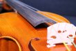 画像14: クラウス・ヘフラー工房 ＃５００ バイオリン ドイツ製  Klaus Heffler #500 Violin Germany
