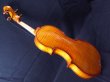 画像12: カローラヘンデル工房 ガルネリモデルバイオリン ドイツ製  Carola Hendel violin Gurneri Model #202