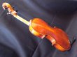 画像12: カローラヘンデル工房 ストラドモデルバイオリン ドイツ製  Carola Hendel violin Stradivari Model #201a