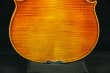 画像9: クラウス・ヘフラー工房 ＃７０２ バイオリン ドイツ製  Klaus Heffler #702 Violin Germany