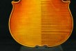 画像9: クラウス・ヘフラー工房 ＃７０２ バイオリン ドイツ製  Klaus Heffler #702 Violin Germany