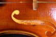 画像15: クラウス・ヘフラー工房 ＃５００ バイオリン ドイツ製  Klaus Heffler #500 Violin Germany