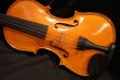 画像3: グリガ バイオリン ゲムス４／４ Gliga Violin Gems ルーマニア製