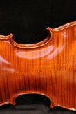 画像7: グリガ バイオリン ガマII ４／４ Gliga Violin Gama II ルーマニア製