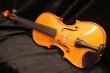 画像4: グリガ バイオリン ゲムス４／４ Gliga Violin Gems ルーマニア製