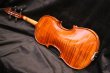 画像2: グリガ バイオリン ガマII ４／４ Gliga Violin Gama II ルーマニア製