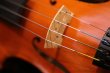 画像5: グリガ バイオリン ガマII ４／４ Gliga Violin Gama II ルーマニア製