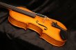 画像5: グリガ バイオリン ゲムス４／４ Gliga Violin Gems ルーマニア製