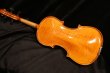 画像2: グリガ バイオリン ゲムス４／４ Gliga Violin Gems ルーマニア製