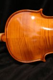 画像6: グリガ バイオリン ゲムス４／４ Gliga Violin Gems ルーマニア製