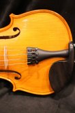 画像13: グリガ バイオリン ゲムス４／４ Gliga Violin Gems ルーマニア製
