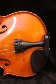 画像11: グリガ バイオリン ガマII ４／４ Gliga Violin Gama II ルーマニア製