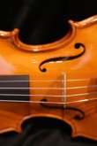 画像10: グリガ バイオリン ゲムス４／４ Gliga Violin Gems ルーマニア製