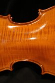 画像8: グリガ バイオリン ゲムス４／４ Gliga Violin Gems ルーマニア製