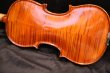 画像1: グリガ バイオリン ガマII ４／４ Gliga Violin Gama II ルーマニア製