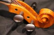 画像13: グリガ バイオリン ゲムス４／４ Gliga Violin Gems ルーマニア製