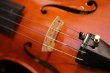 画像5: グリガ バイオリン ガマI ４／４ Gliga Violin Gama I ルーマニア製