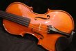 画像3: グリガ バイオリン ガマI ４／４ Gliga Violin Gama I ルーマニア製