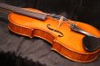 画像14: グリガ バイオリン ガマI ４／４ Gliga Violin Gama I ルーマニア製