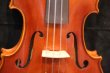 画像13: アイリッシュ・フィドル ＭａＺｈｉｂｉｎ工房 本場アイルランドの音色の再現！