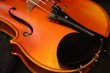 画像16: アイリッシュ・フィドル ＭａＺｈｉｂｉｎ工房 本場アイルランドの音色の再現！